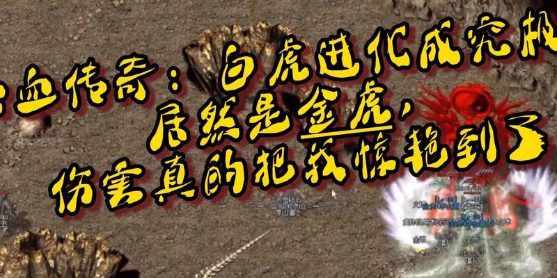 真白虎高伤害输出的秘诀是什么？  第3张