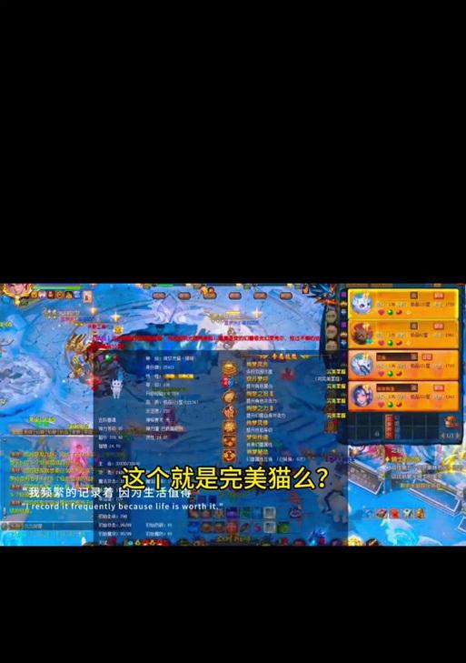 魔域战士带猫时装备搭配技巧是什么？  第2张