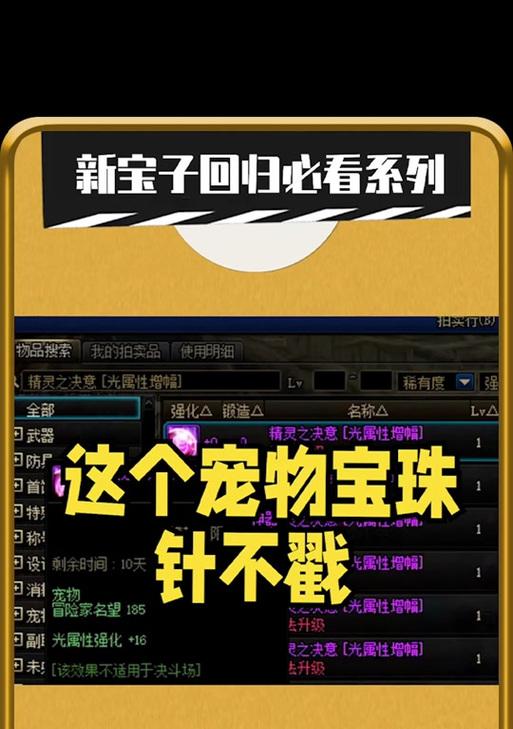 地下城宠物装备回收方法是什么？如何处理不再需要的宠物装备？  第2张