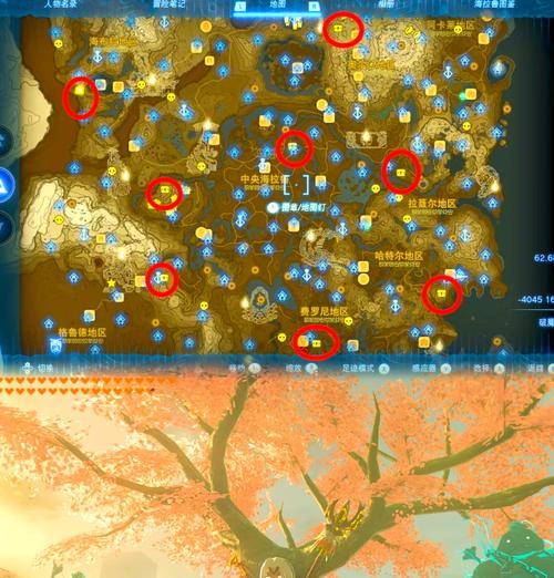 口袋妖怪10号道路山洞的位置在哪里？如何到达山洞？  第3张