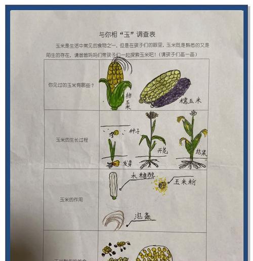 我的世界中玉米种植的步骤是什么？  第2张