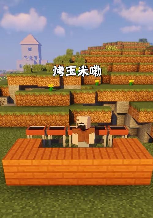 我的世界中玉米种植的步骤是什么？  第3张