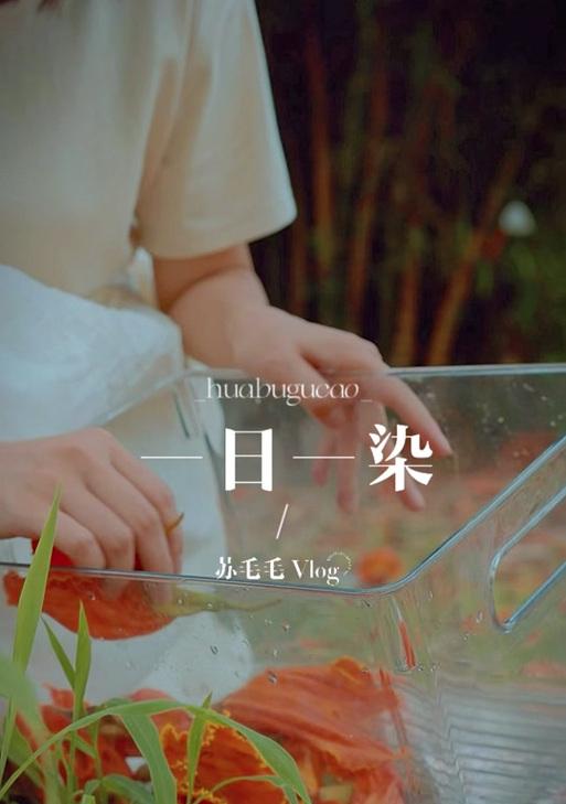 阴阳师草木染染料使用方法是什么？  第2张