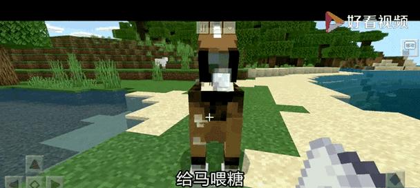 马匹问题在Minecraft中如何解决？  第1张