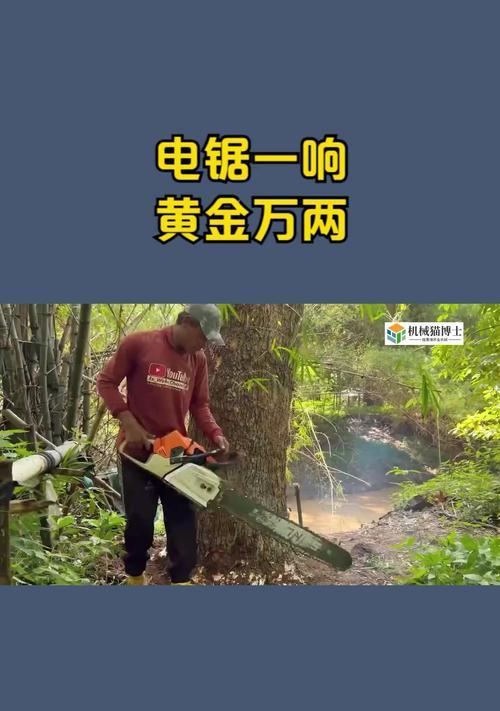 伐木机在刀塔中如何高效砍树？使用技巧是什么？  第2张