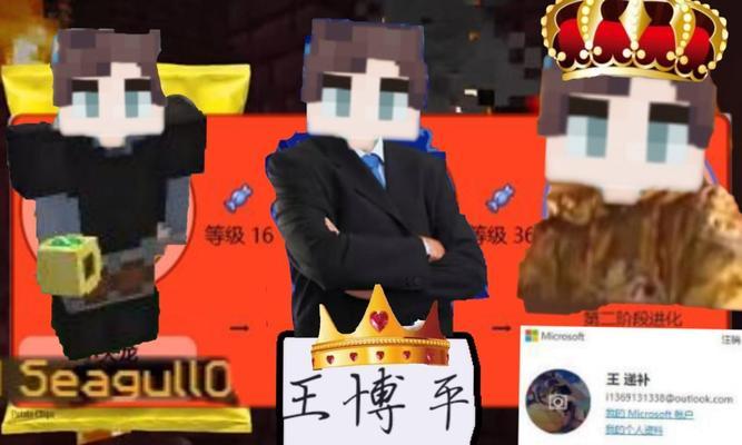 我的世界中海鸥的正确玩法是什么？  第2张