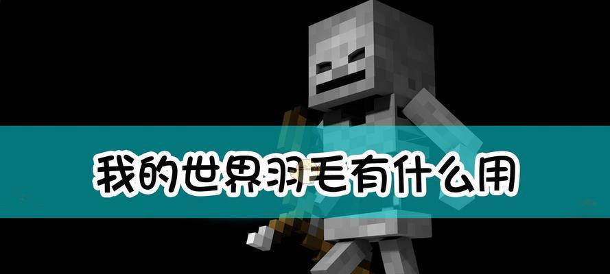 我的世界羽毛制作方法是什么？  第3张