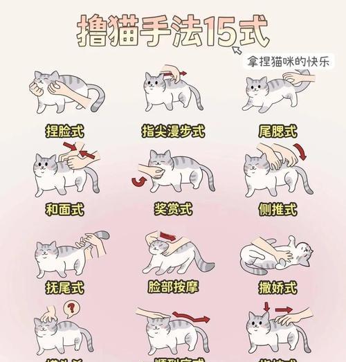 阴阳师中养猫有什么技巧？如何正确照顾式神的猫？  第1张