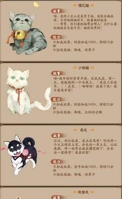 江湖悠悠后院（畅游江湖）  第3张