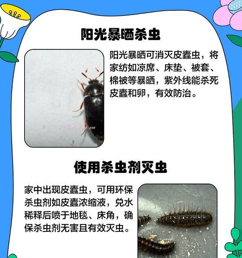 蠹虫在《我的世界》中如何寻找？遇到蠹虫应该怎么办？  第1张