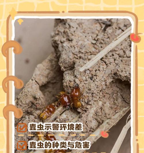 蠹虫在《我的世界》中如何寻找？遇到蠹虫应该怎么办？  第2张