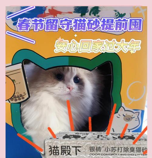 小猫殿下玩法技巧有哪些？  第2张