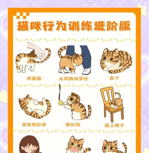 小猫殿下玩法技巧有哪些？  第3张