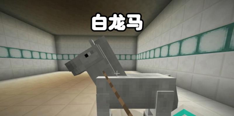 我的世界中喂养马匹的正确方式是什么？  第3张
