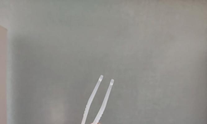 《山海夹子游戏攻略》（掌握夹子用法）  第1张
