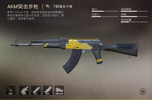 和平精英（发现游戏中前支架枪械的多样性与实用性）  第2张