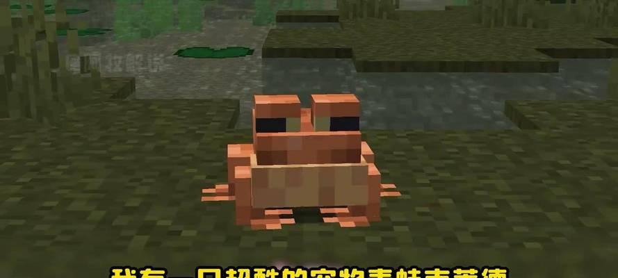 我的世界宠物世界排行榜怎么看？如何提升宠物排名？  第1张