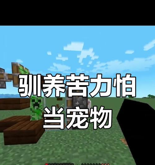 我的世界宠物世界排行榜怎么看？如何提升宠物排名？  第3张